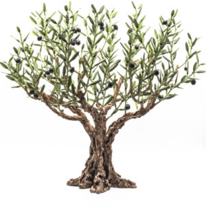 ARBRE OLIVIERS PROVENCAL